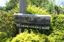 DSC02518