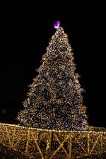 DSC02012