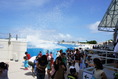 DSC01781