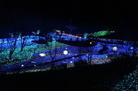 DSC02009