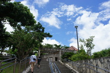 DSC02515