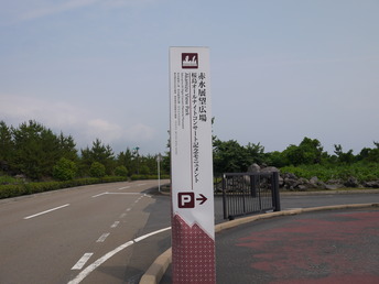 P1060102