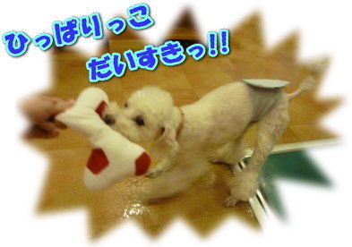 オモチャであそぼ~!