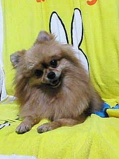 24b05994.jpg
