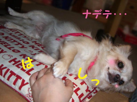 85ee745f.jpg