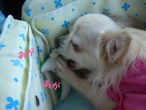 9b878370.jpg