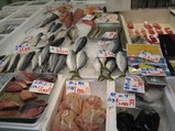 浅田水産の魚