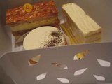 Ȣ����������