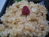 玄米ご飯