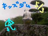 080503_114107