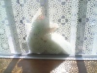 ここがいいかも