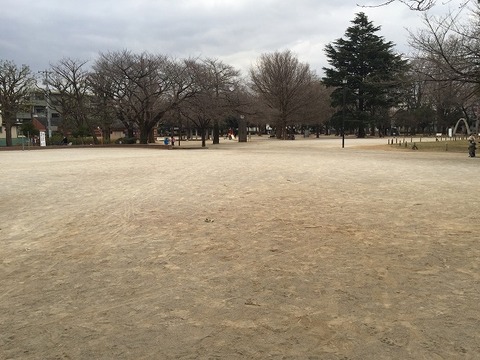 写真 2017-02-20 14 31 01