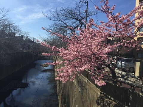 写真 2018-03-02 14 22 37