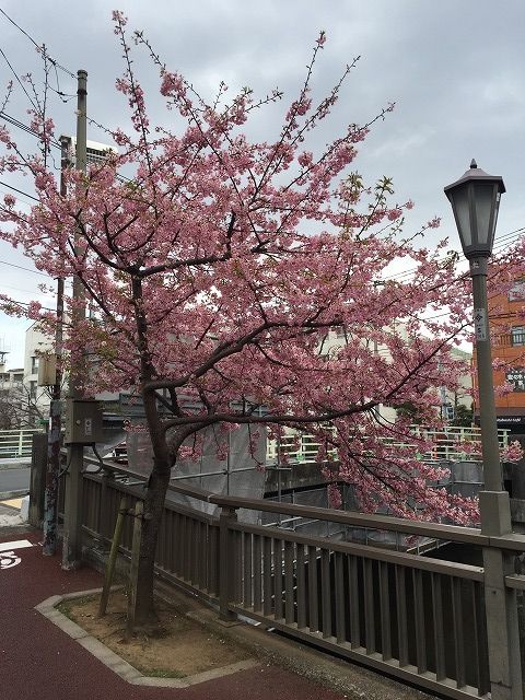 写真 2017-02-20 13 17 48