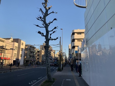 写真 2019-01-21 16 15 37