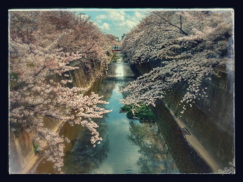 IMG_20170406_122721153_HDR-EFFECTS
