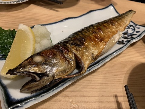 写真 2019-01-31 19 56 31
