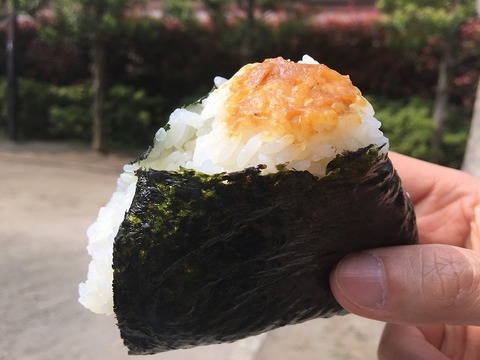 写真 2018-04-02 13 23 34