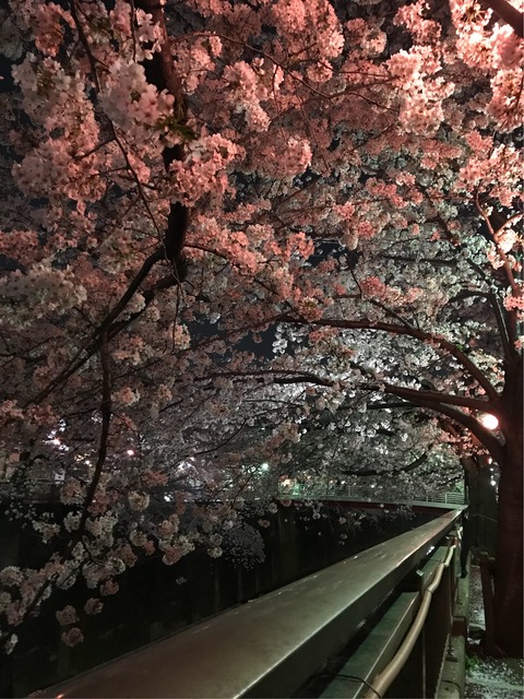 75F704B9-AB4E-4C40-A48C-004F973BC9D0