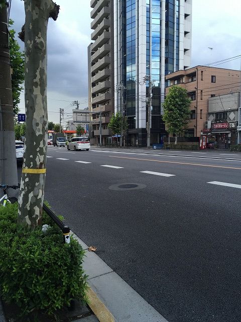 写真 2016-08-01 13 51 00