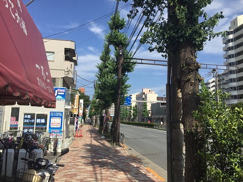 写真 2018-06-28 15 25 12