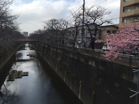 写真 2017-02-20 13 19 43