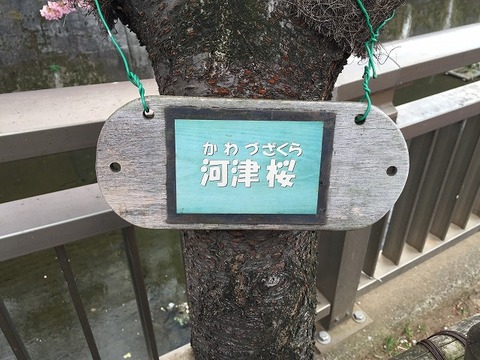 写真 2017-02-20 13 20 23