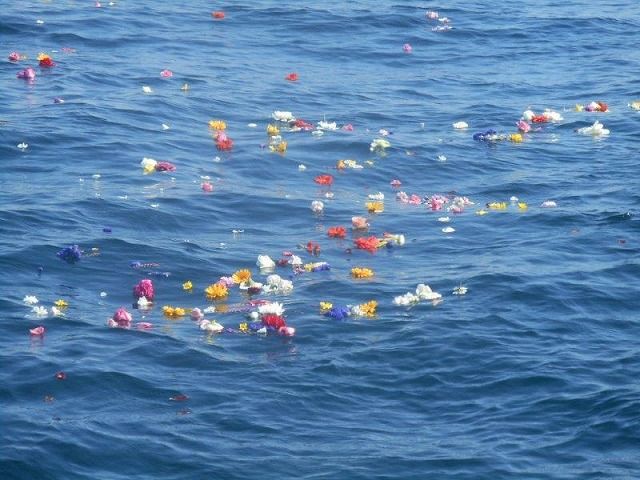 「散骨 海」の画像検索結果