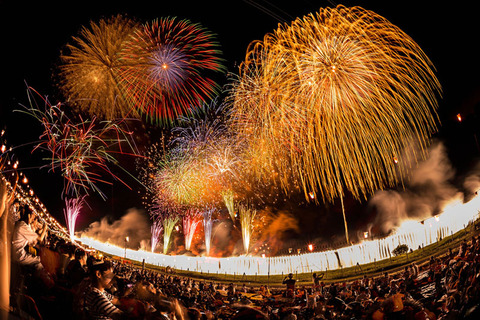 hanabi01