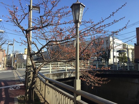 写真 2018-02-14 15 08 24