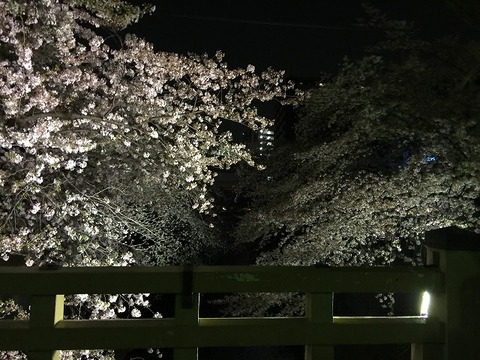 写真 2018-03-29 19 32 52