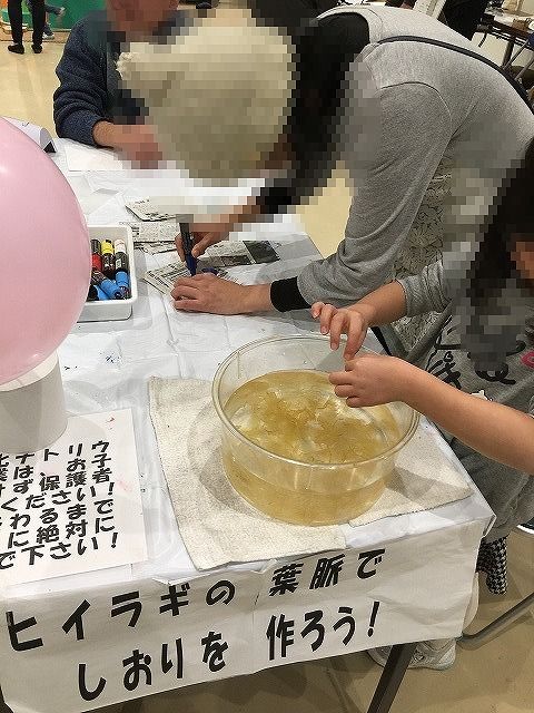 LRCEsJ55ZHH5Dfg1517777995_1517778029
