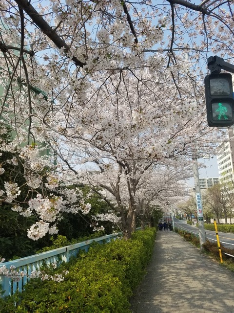 20180328_140435