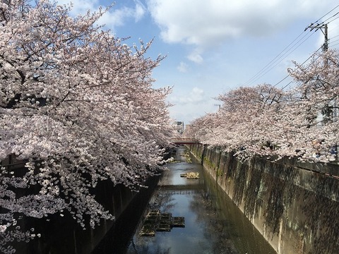 写真 2017-04-06 10 53 23