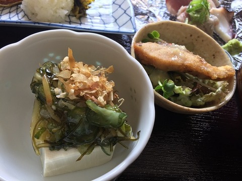 写真 2018-09-18 13 56 56 (1)