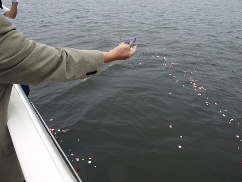 P8265747