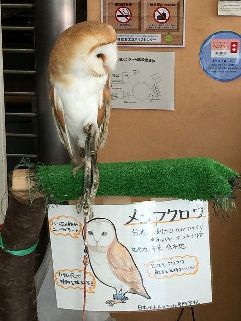 写真 2018-02-04 13 44 48