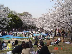 img_17371_1_1_thumb