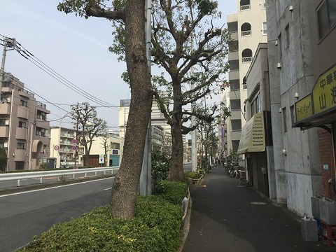 写真 2018-03-27 14 01 01