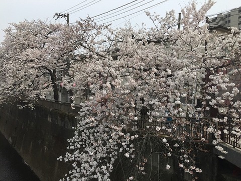 写真 2018-03-27 14 05 48