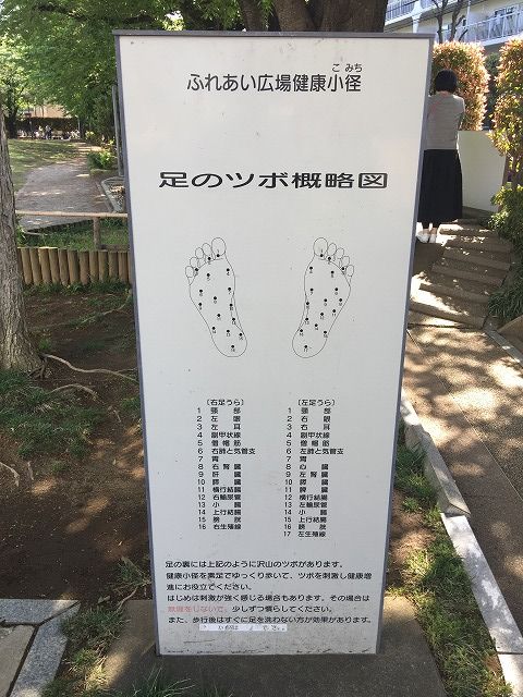 写真 2018-04-19 14 34 19