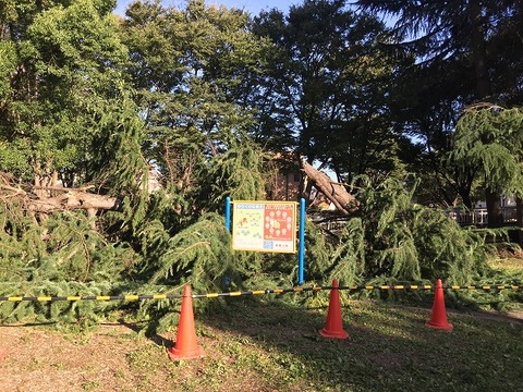 写真 2018-10-01 15 31 56 (1)