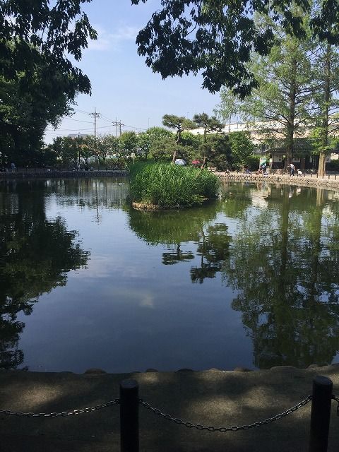 写真 2016-05-15 14 28 42