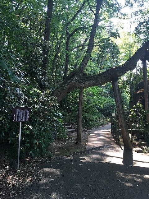 写真 2016-05-15 14 28 50