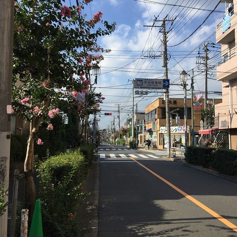 写真 2017-07-31 16 05 48