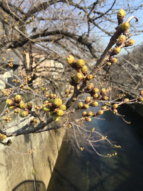 写真 2018-03-14 14 47 15