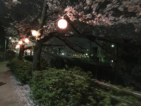 写真 2018-03-29 19 47 09