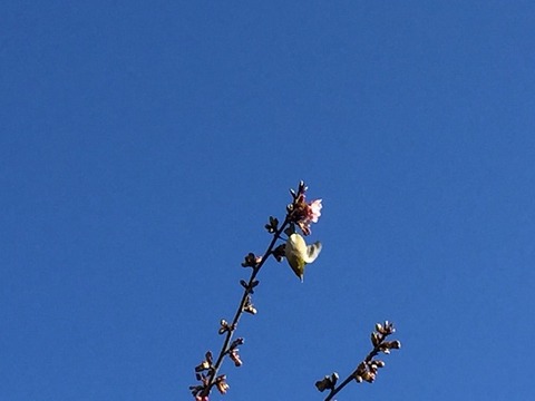 写真 2018-02-14 15 08 52