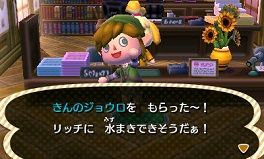 きんのジョウロ どううぶつの森
