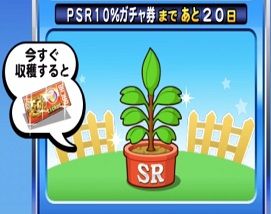 ガチャ券の種 SRガチャ券